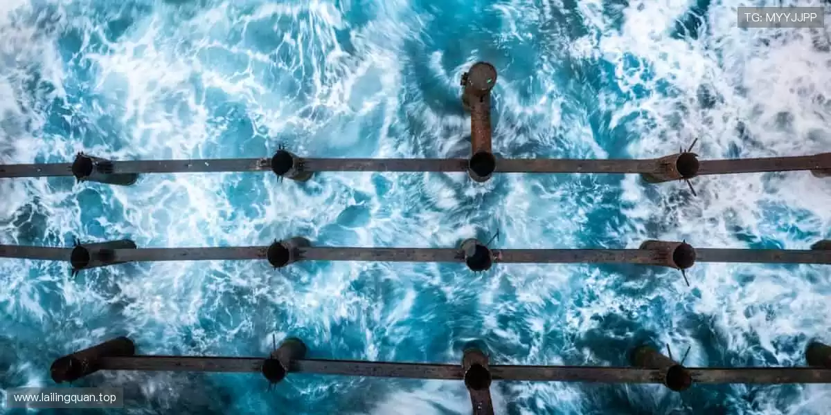 锁定直播间,不错过每一个绝杀瞬间!🎯📺